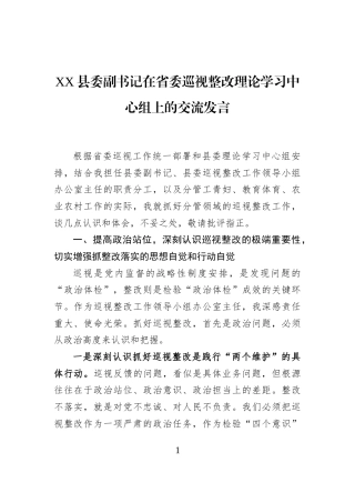 XX县委副书记在省委巡视整改理论学习中心组上的交流发言