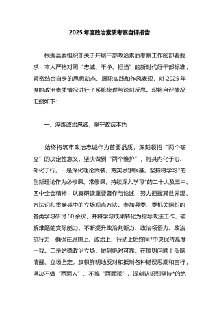 2025年度政治素质考察自评报告