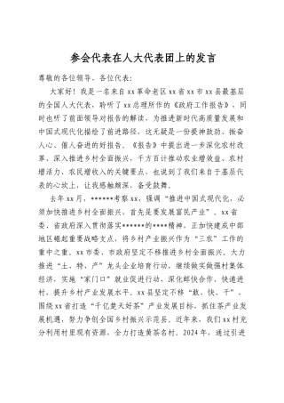 参会代表在人大代表团上的发言