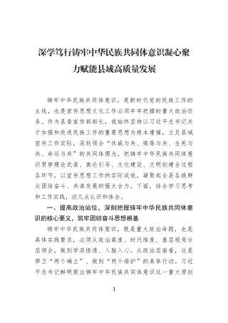 深学笃行铸牢中华民族共同体意识凝心聚力赋能县域高质量发展