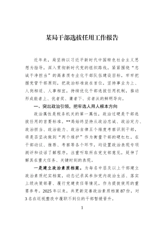 某局干部选拔任用工作报告
