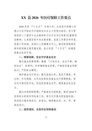 XX+县2026+年医疗保障工作要点