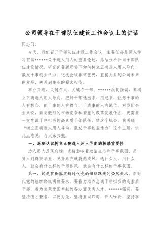 公司领导在干部队伍建设工作会议上的讲话