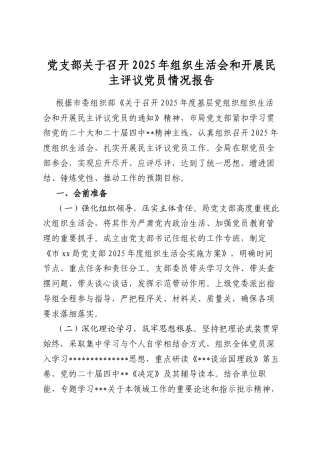 支部关于召开2025年组织生活会和开展民主评议员情况报告