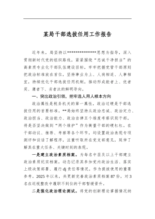 某局干部选拔任用工作报告