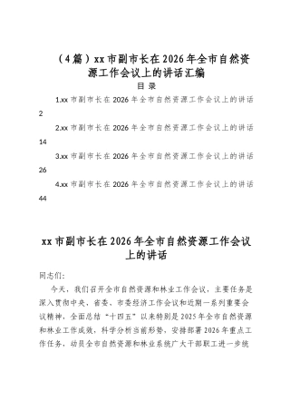 XX市副市长在2026年全市自然资源工作会议上的讲话汇编（4篇）