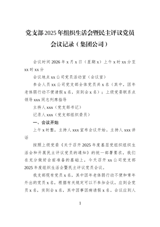 党支部2025年组织生活会暨民主评议党员会议记录（集团公司）