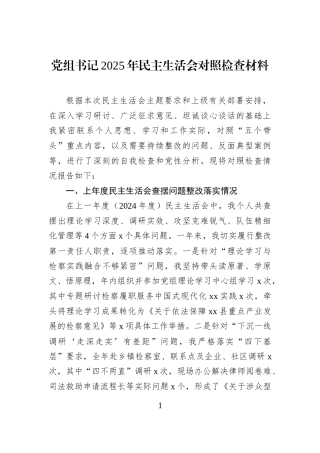 党组书记2025年民主生活会对照检查材料