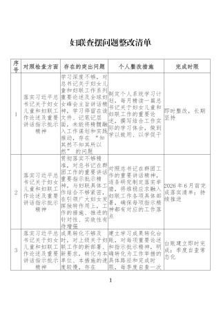 妇联查摆问题整改清单