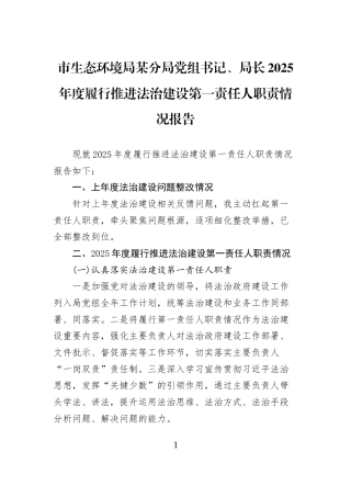 市生态环境局某分局党组书记、局长2025年度履行推进法治建设第一责任人职责情况报告