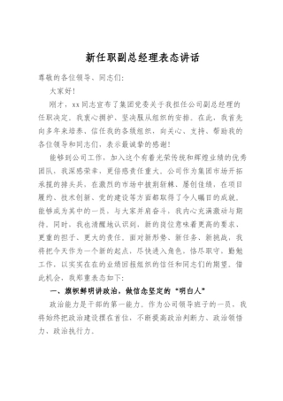 新任职副总经理表态讲话