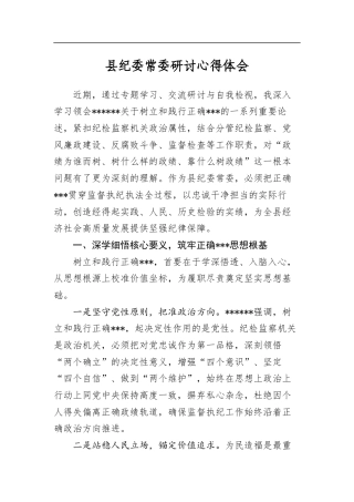 县纪委常委研讨心得体会