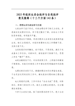2025年组织生活会批评与自我批评意见集锦（十三个方面142条）