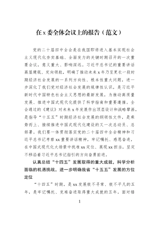 在x委全体会议上的报告（范文）