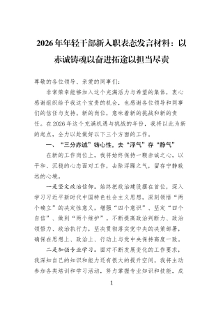 2026年年轻干部新入职表态发言材料：以赤诚铸魂以奋进拓途以担当尽责