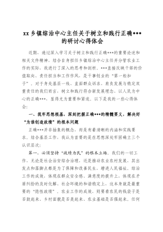 乡镇综治中心主任关于树立和践行正确政绩观的研讨心得体会