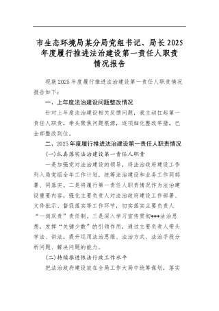 市生态环境局某分局党组书记、局长2025年度履行推进法治建设第一责任人职责情况报告