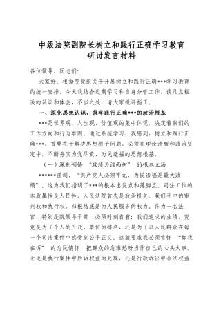 中级法院副院长树立和践行正确学习教育研讨发言材料