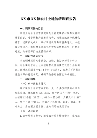 XX市XX镇农村土地流转调研报告