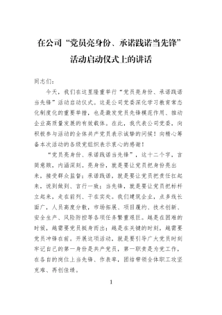 在公司“党员亮身份、承诺践诺当先锋”活动启动仪式上的讲话