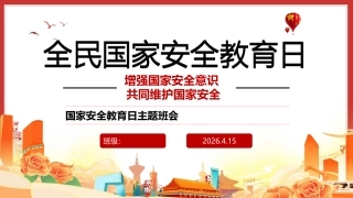2026全民国家安全教育日PPT课件
