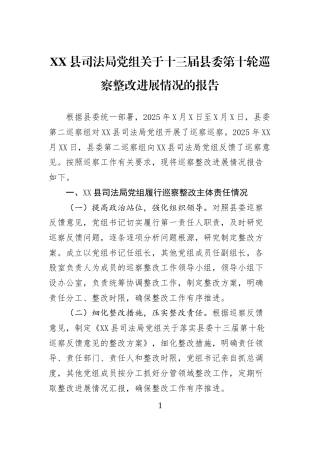 XX县司法局党组关于十三届县委第十轮巡察整改进展情况的报告