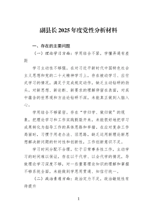 副县长2025年度党性分析材料