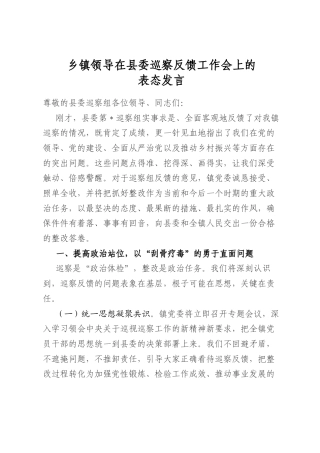 乡镇领导在县委巡察反馈工作会上的表态发言