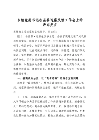 乡镇党委书记在县委巡察反馈工作会上的表态发言