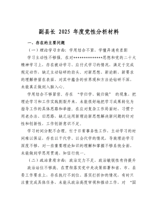 副县长2025年度党性分析材料