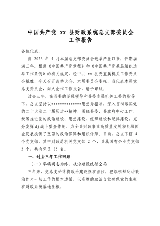 县财政系统总支部委员会工作报告