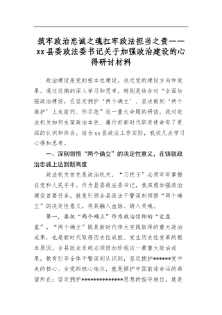 筑牢政治忠诚之魂扛牢政法担当之责——县委政法委书记关于加强政治建设的心得研讨材料