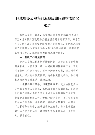 区政府办公室党组巡察反馈问题整改情况报告