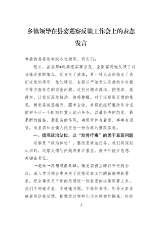 乡镇领导在县委巡察反馈工作会上的表态发言