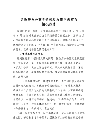 区政府办公室党组巡察反馈问题整改情况报告