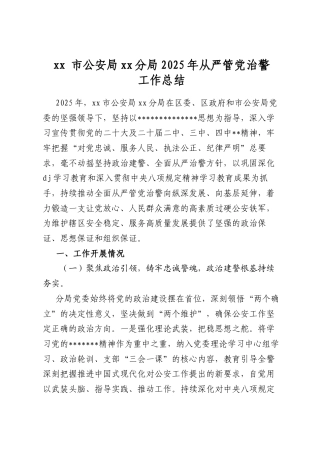 市公安局分局2025年从严管党治警工作总结
