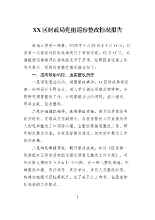 XX区财政局党组巡察整改情况报告