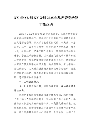 XX市公安局XX分局2025年从严管党治警工作总结