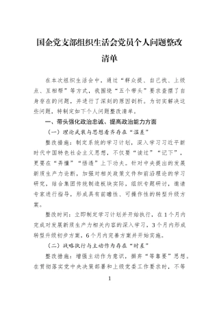 国企党支部组织生活会党员个人问题整改清单