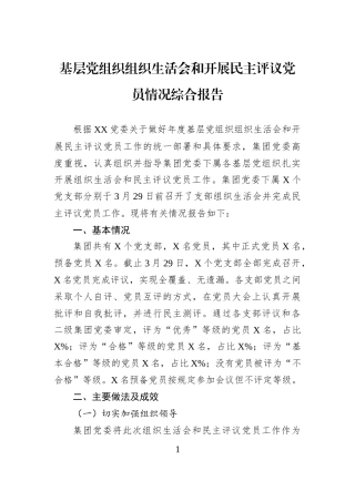基层党组织组织生活会和开展民主评议党员情况综合报告
