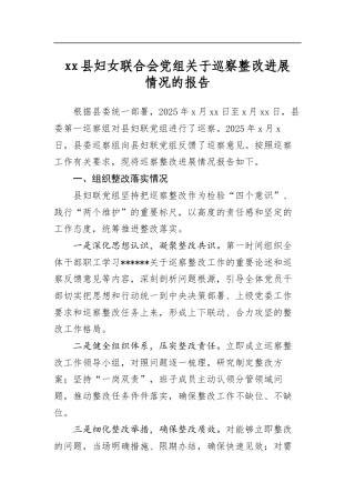 县妇女联合会党组关于巡察整改进展情况的报告
