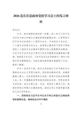 2026县长在县政府党组学习会上的发言材料