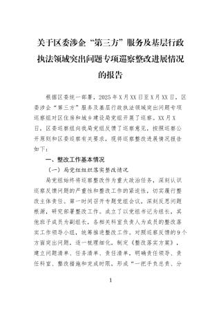 关于区委涉企“第三方”服务及基层行政执法领域突出问题专项巡察整改进展情况的报告