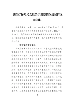 县医疗保障局党组关于巡察整改进展情况的通报