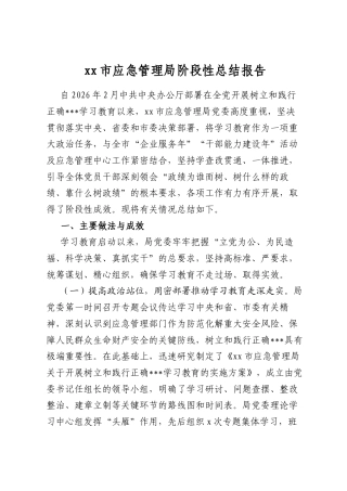 市应急管理局阶段性总结报告