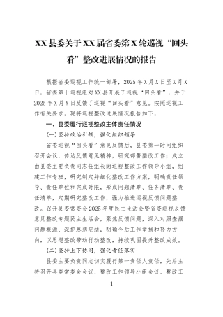 XX县委关于XX届省委第X轮巡视“回头看”整改进展情况的报告