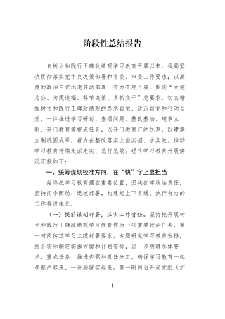 阶段性总结报告