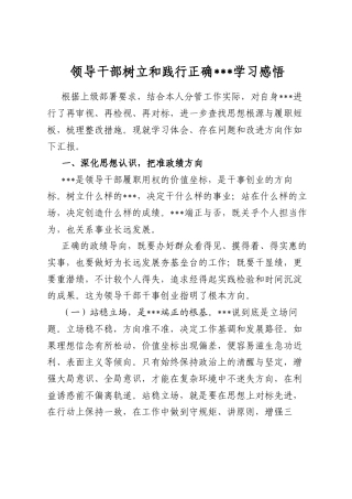 领导干部树立和践行正确政绩观学习感悟