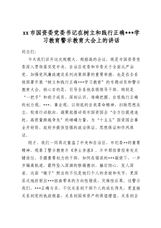 市国资委党委书记在树立和践行正确政绩观学习教育警示教育大会上的讲话