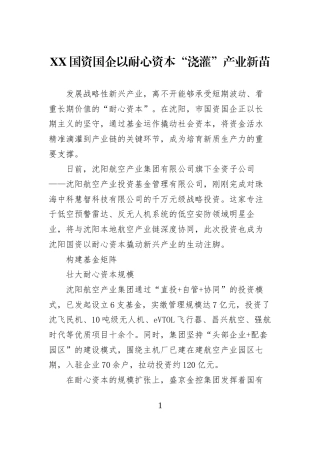 XX国资国企以耐心资本“浇灌”产业新苗